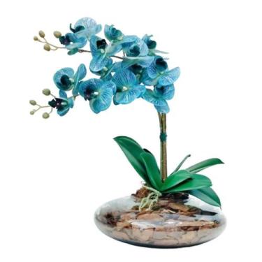 Imagem de Arranjo Com 2 orquideas Azul Flores realista Vaso terrário - La Caza S