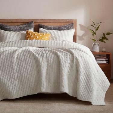 Imagem de LEAONME Conjunto de colcha de veludo, tamanho casal/queen, 228 x 242 cm, conjunto de edredom de veludo branco leve com 2 fronhas combinando, colcha de cama de ponto cruz macio para todas as estações