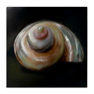 Imagem de Stupell Industries Arte de parede em tela Swirled Seashell Sea Treasure, design de Mary Sparrow, 61 x 61 cm