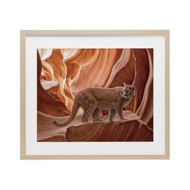 Imagem de Stupell Industries Impressão emoldurada Cougar Canyon View Birch Under Glass por Collin Bogle, 33 x 40 cm