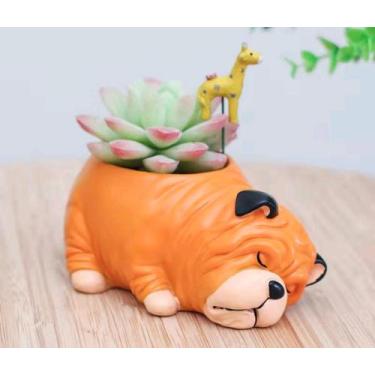 Imagem de Vaso de suculenta decorativo - Rose garden 