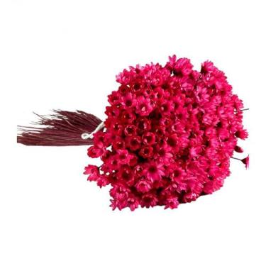 Imagem de Sempre Viva Desidratada - Superior  - Unica Arte Botanica, Rosa