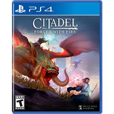 Imagem de Citadel Forged with Fire - PlayStation 4 Standard Edition