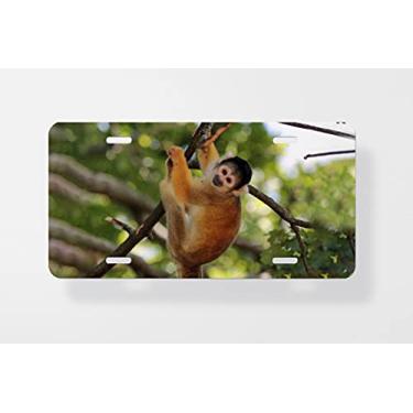 Imagem de Capa para placa de carro de esquilo macaco em uma árvore – Capa para placa de carro – Capa para placa de carro 15 x 30 cm