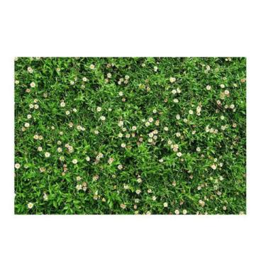 Imagem de Fundo Fotográfico Muro Inglês 2,2X1,5 Fff-508 - Felicitá