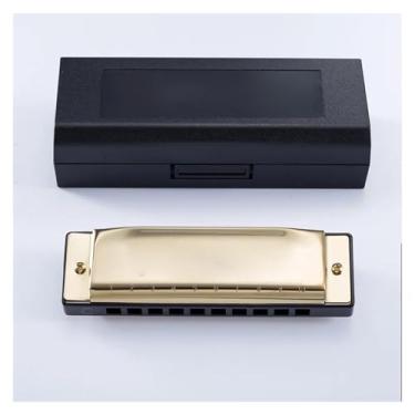 Imagem de Para Iniciantes harmônica Gaita De 10 Buracos Para Iniciantes Aprendendo Instrumento Musical Blues Blues Player Treinamento Prático(Gold)