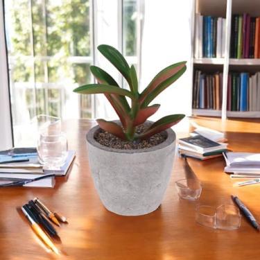 Imagem de Generic 1 mini peperomia de plantas artificiais em plantador de polpa de plástico PVC fúcsia 6,5 x 6,5 x 11 cm