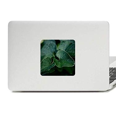 Imagem de Adesivo de vinil para laptop com imagem de plantas de folhas escuras, decoração de policarbonato