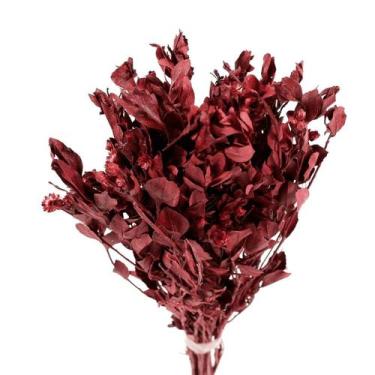 Imagem de Alecrin Vermelho Desidratado - Oficina do Florista