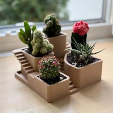 Imagem de Vasos Arquitetônicos Escalonados – Mini Jardim com Design Moderno para Cactos e Suculentas