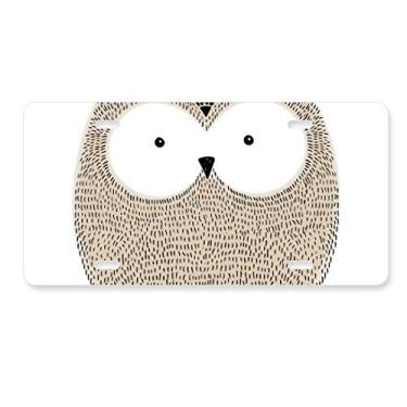 Imagem de DIYthinker Placa de licença de coruja gordinha, decoração de aço inoxidável para automóvel