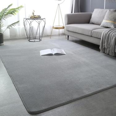 Imagem de Tapete grosso para sala de estar, decoração de lã coral, tapete grande para quarto, macio para crianças, tapete de brincar, tapete de ioga para meninas, janela, cinza, 120 x 200 cm (47 x 78 pol.)