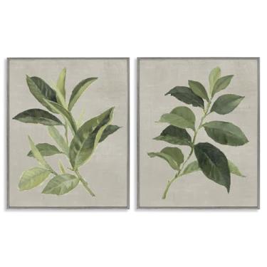 Imagem de Stupell Industries Conjunto de arte giclée emoldurado cinza com folhas de planta de chá e café verde, design de Lanie Loreth, 28 x 35 cm