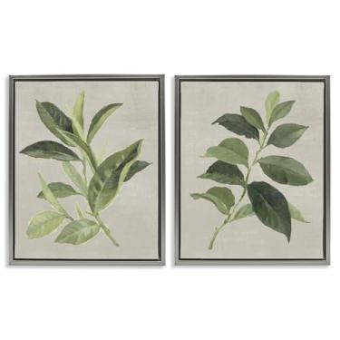 Imagem de Stupell Industries Conjunto de 2 peças de lona flutuante emoldurada cinza com folhas de planta de chá verde e café, design de Lanie Loreth, 78 x 63 cm
