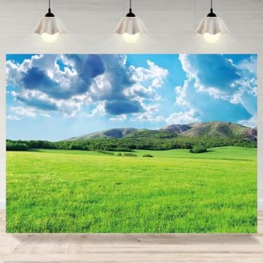 Imagem de 1,5 x 0,9 m Pano de fundo de prado de primavera, montanha, gramado, paisagem, natureza, cenário fotográfico, céu azul, nuvens brancas, decoração de banner para casa, retrato de bebê, adereços de