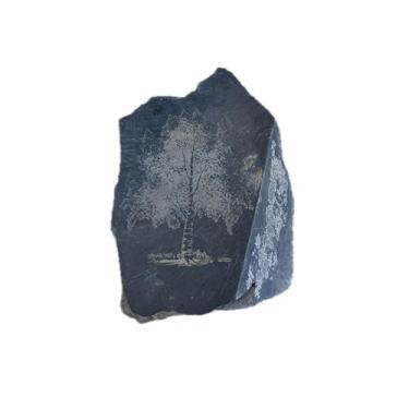 Imagem de Árvore de bétula gravada em ardósia – Decoração de jardim de pedra natural para jardim de pedras, entrada ou pátio – Arte rústica gravada a laser em ardósia – Pedra decorativa ao ar livre para quintal