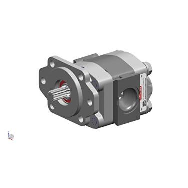 Imagem de Buzile Gear Bomba Motor BGM20A846JEAL15-25 Substituição P21A646JEAL15-25 PGP020A346JEAL15-25 PK1-13-02-BSBB PK13-2BSBB MK20B-13-D-O-X WAK20B13AOX M2100A890IDZK15-14 P21000A29014 3089110275