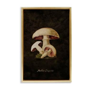 Imagem de Stupell Industries Vintage Portobello Mushroom Framed Floater Canvas Wall Art Design por Tina Higgins Designs, Inc., Moldura flutuante dourada, 21 x 31