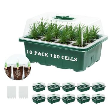 Imagem de Kit para iniciantes de sementes com base em cúpula de umidade, kit de iniciação de sementes e minikit de germinação de estufa de base para cultivo de sementes A9