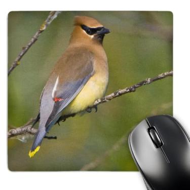 Imagem de 3dRose mp_95658_1 8 x 8 polegadas Washington, Lake Sammamish, Cedar Waxwing Bird - Us48 Glu0129 - Gary Luhm Mouse Pad