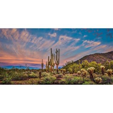 Imagem de AWERT 76 x 30 cm Fundo de terrário céu azul nuvem enorme cacto oásis Gobi réptil habitat fundo vinil