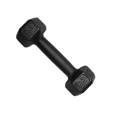 Imagem de Halter Sextavado Dumbell Pintado 2kg Academia Treino Ferro