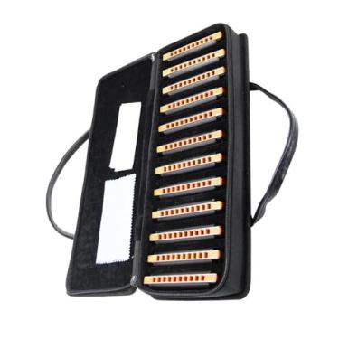 Imagem de Gaita de jogo profissional requintada preta 10 furos diatônica blues harmônica 12 peças conjunto de arpa padrão