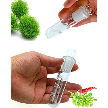 Imagem de Planaria Armadilha para tanque de camarão vermelho de cristal – apanhador de minhoca com cerdas de aquário, camarão, camarão anão, fantasma, camarão vivo, produtos de limpeza de água doce – tubo de captura de sanguessugas de vidro transparente (3 furos)