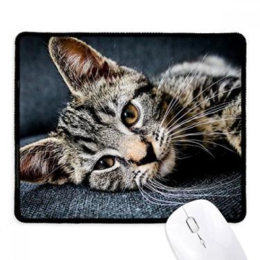 Imagem de Mousepad de borracha para jogos com bordas costuradas e estampa de gatos