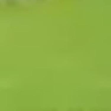 Imagem de Tinta PVA Fosca para Artesanato Acrilex 100 ml Verde Maçã - 802