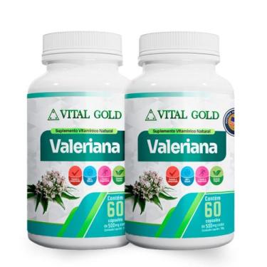 Imagem de VALERIANA - 500mg (60 Cápsulas) VITAL GOLD, 02 Unidade