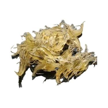 Imagem de Conjunto De Iscas Luminosas Para Camarão 510/20pcs Goture Com Gancho A