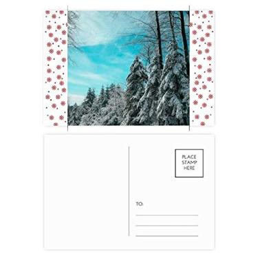 Imagem de Cartão postal para celebração de flores de Natal céu azul de pinheiro nuvens