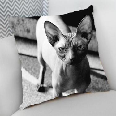 Imagem de Almofada Decorativa Cheia c/ Zíper Gatos Cat Felino - Deluzz, Sphynx, 