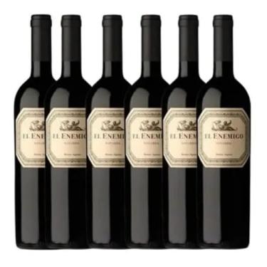 Imagem de Vinho Argentino El Enemigo Bonarda 750 mL CX/6