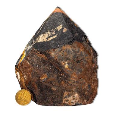 Imagem de 01 Ônix Preto Pé e Bico Serrado 500 a 1000g 10 a 12cm Tipo B