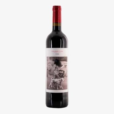 Imagem de Vinho Tinto Espanhol San Valero Celebrities Syrah 750ml