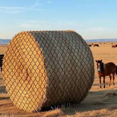 Imagem de Sancunhui Rede de feno redonda de 1,8 x 1,8 m para cavalos, rede de feno de alimentação lenta resistente com malha de 4 cm, alimentador de feno de nylon preto para cavalos, gado, cabras, inclui kit de