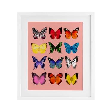 Imagem de Stupell Industries Impressão emoldurada de espécies de borboleta em rosa e branco sob vidro, design por LISH Creative, 40 x 33