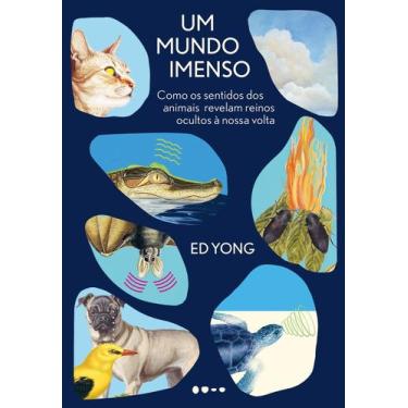 Imagem de Livro - Um mundo imenso