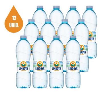 Imagem de Água Mineral Lindoya Verão sem Gás Kit com 12X510Ml