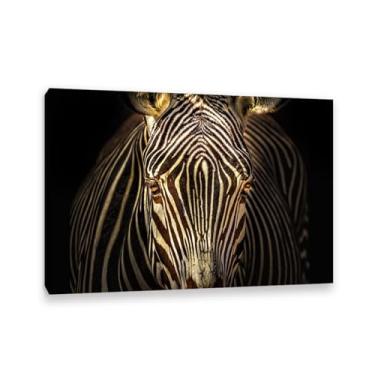 Imagem de SDYJ6GSW Imagens de animais preto e branco para decoração de parede preto e branco animal zebra impressão de cavalo imagem de arte de parede zebra decoração de parede para sala de estar 85 x 60 cm