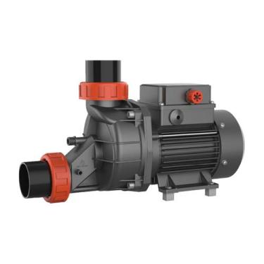 Imagem de Bomba d'água para Hidromassagem LSPA600 0,5HP - Lepono, 220V