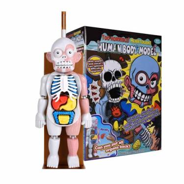 Imagem de Modelo de corpo humano de brinquedo infantil Modelo de montagem anatôm