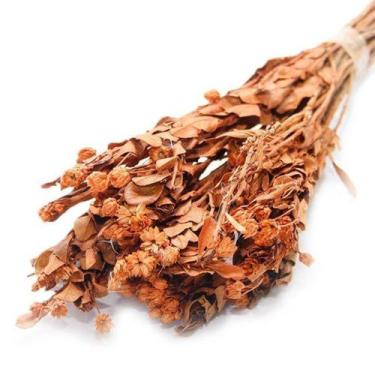 Imagem de Alecrin Laranja Desidratado - Pense Flores
