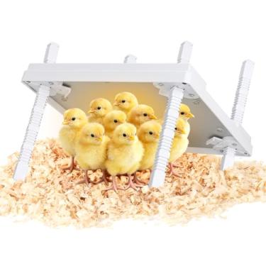 Imagem de Placa de aquecimento para chocadeira de pintinho