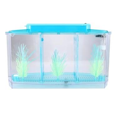 Imagem de Generic Aquário de Peixes Com Isolamento de Reprodução LED Acrílico Três Divisões para Peixes Pequenos, Mini Aquário para Incubação, Isolamento de Doentes e Proteção de Filhotes (Azul)