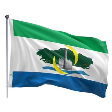 Imagem de Bandeira do Município de Serra Uma Face Estampada Tamanho 90x128cm - Q