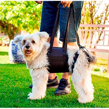 Imagem de Peitoral com suporte das patas traseiras para Pets com deficiência para andar, cor preta TAMANHO:M (65 a 75 cm)