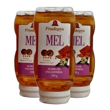 Imagem de Bisnaga 550g de Mel Flores de Uva Japonesa Kit com 3